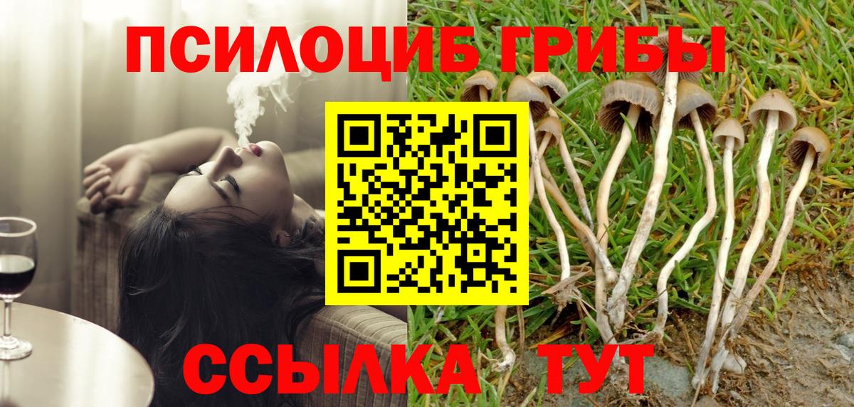 Псилоцибиновые грибы Psilocybe  как найти закладки  Корсаков  Вход с VPN 