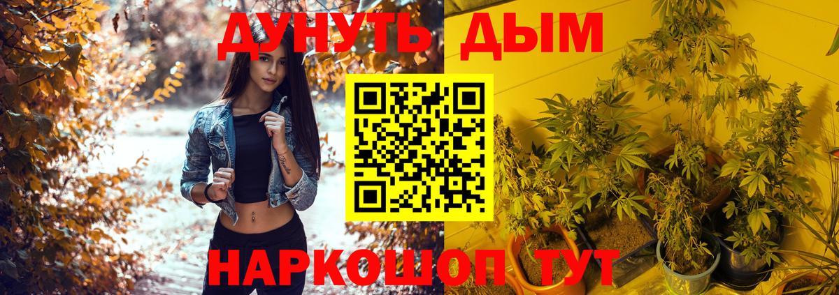 Бошки Шишки White Widow  Вход с VPN  Корсаков  Каннабис Bruce Banner  МАРИХУАНА тримм  Конопля White Widow 